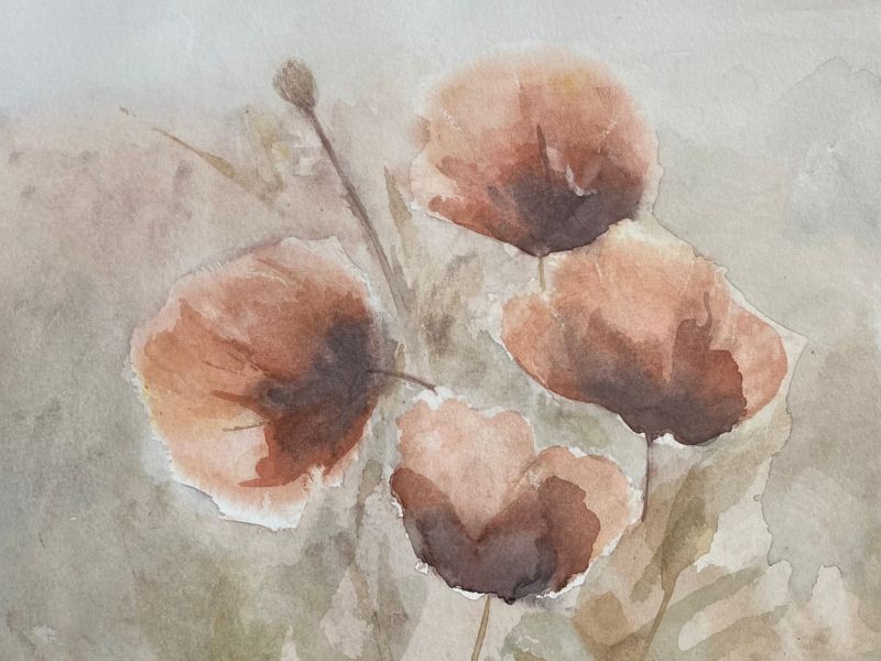 poppy love poppy love
